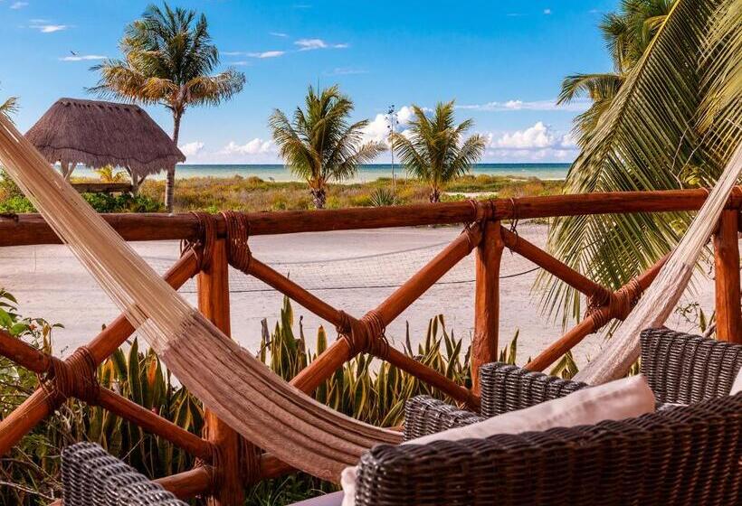 Люкс Мастер, Villas Hm Paraíso del Mar
