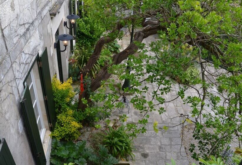 اتاق دوبلکس, Le Môle
