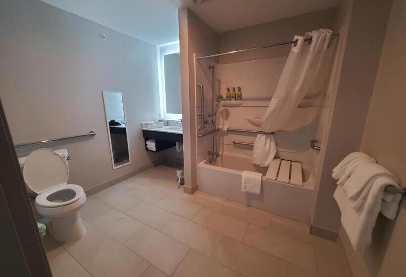 Номер Стандарт Адаптированный для Инвалидов, Holiday Inn Express & Suites   Harrisburg S   Mechanicsburg, An Ihg