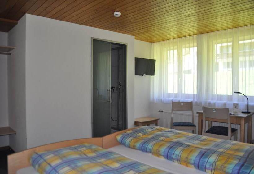 Номер Стандарт, Ferien  Und Familienhotel Alpina Adelboden