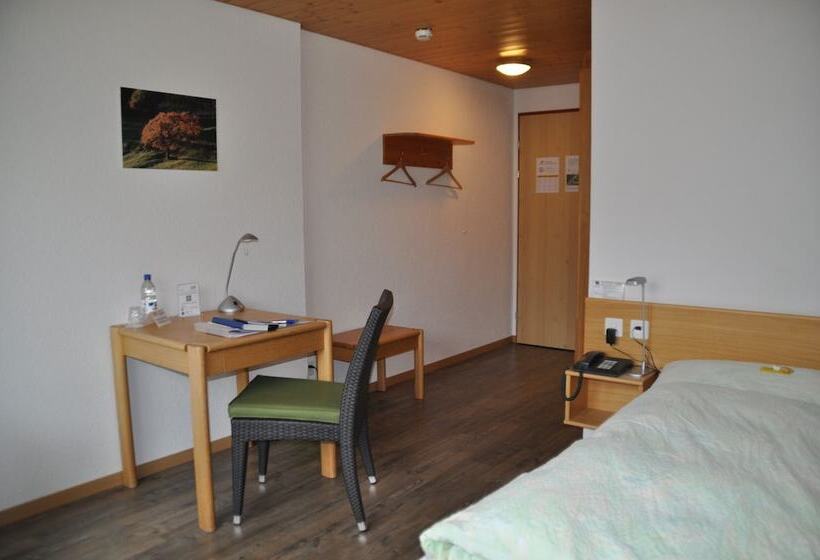Номер Стандарт Индивидуальный, Ferien  Und Familienhotel Alpina Adelboden