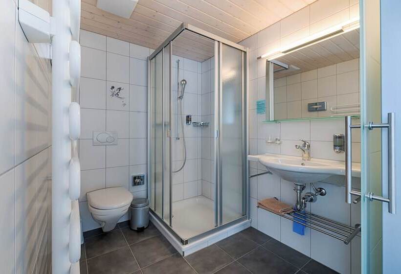 اتاق استاندارد یک تخته با بالکن, Ferien  Und Familienhotel Alpina Adelboden