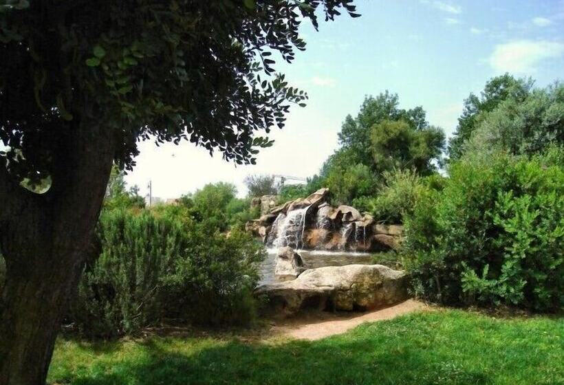 Quarto Triplo Estandar, Martini Olbia