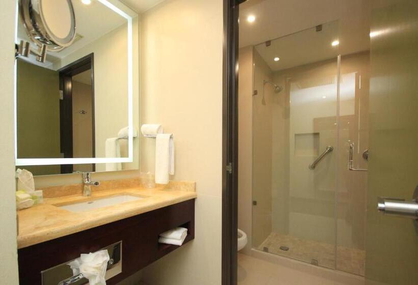 キングサイズベッドのスタンダードルーム, Holiday Inn Leon, An Ihg