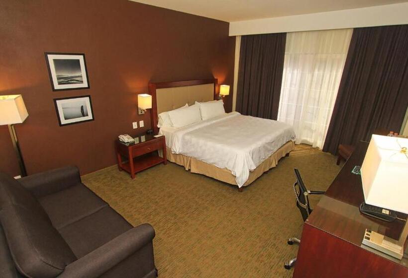 身障者適用スタンダードルーム, Holiday Inn Leon, An Ihg