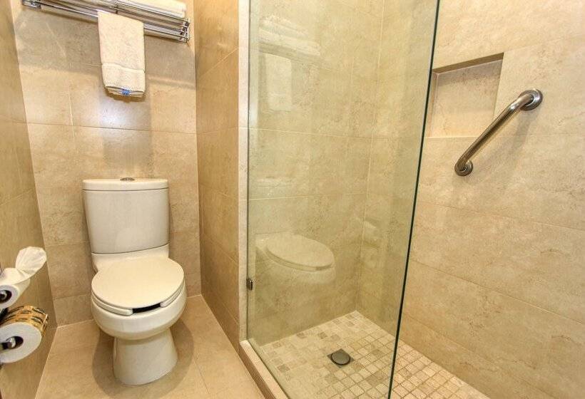 ２ダブルベッドのスタンダードルーム, Holiday Inn Leon, An Ihg