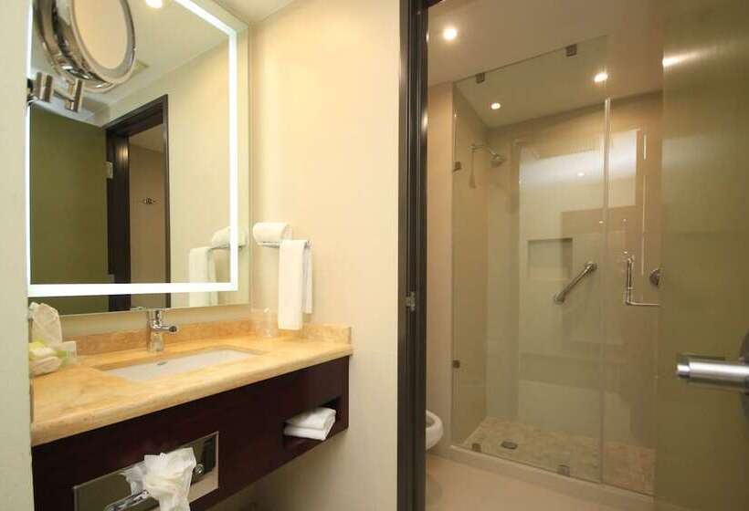 ２ダブルベッドのスタンダードルーム, Holiday Inn Leon, An Ihg