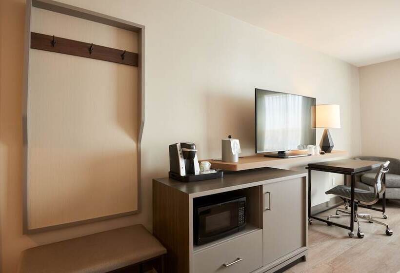 标准间, Holiday Inn & Suites Ottawa Kanata, An Ihg