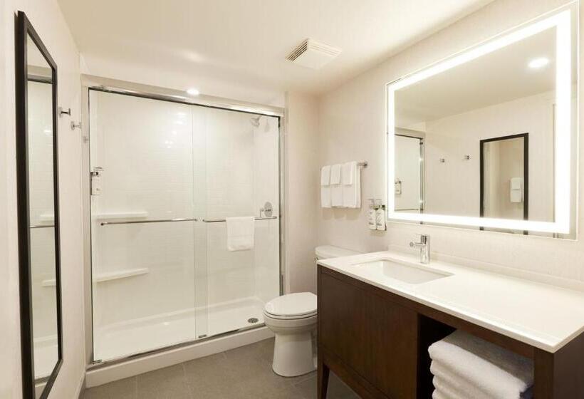 带大床的套房, Holiday Inn & Suites Ottawa Kanata, An Ihg