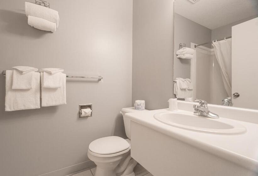 Студия Стандарт, Mountain View Inn