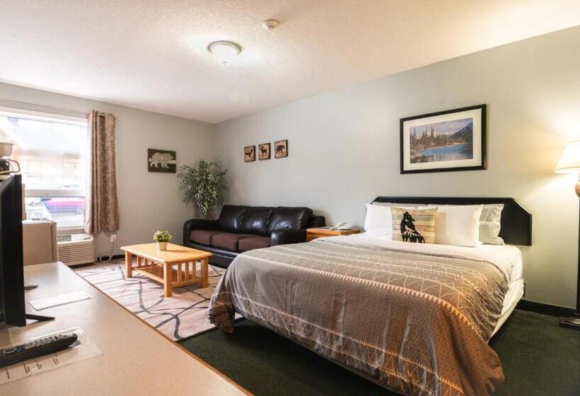 Студия Стандарт, Mountain View Inn
