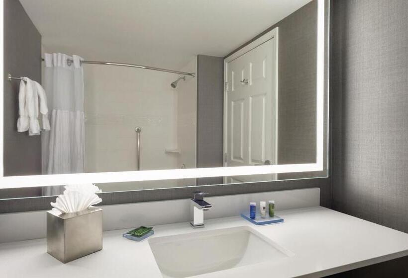 장애인을 위한 스탠다드 룸, Radisson Hotel Dallas North Addison