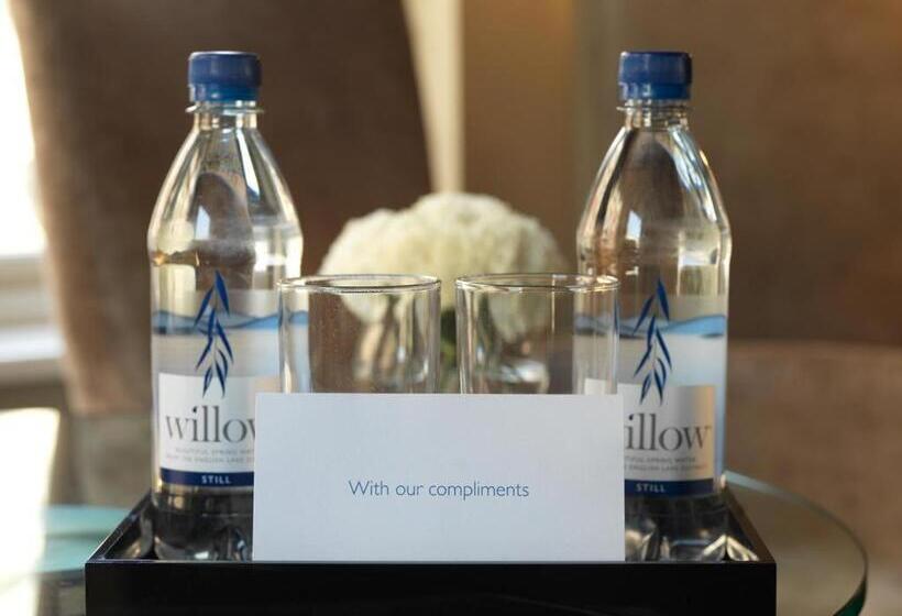 비즈니스룸, Radisson Hotel Dallas North Addison
