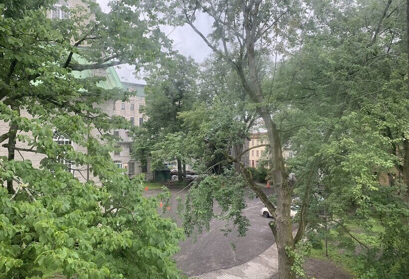 اتاق لوکس, Sainteanne