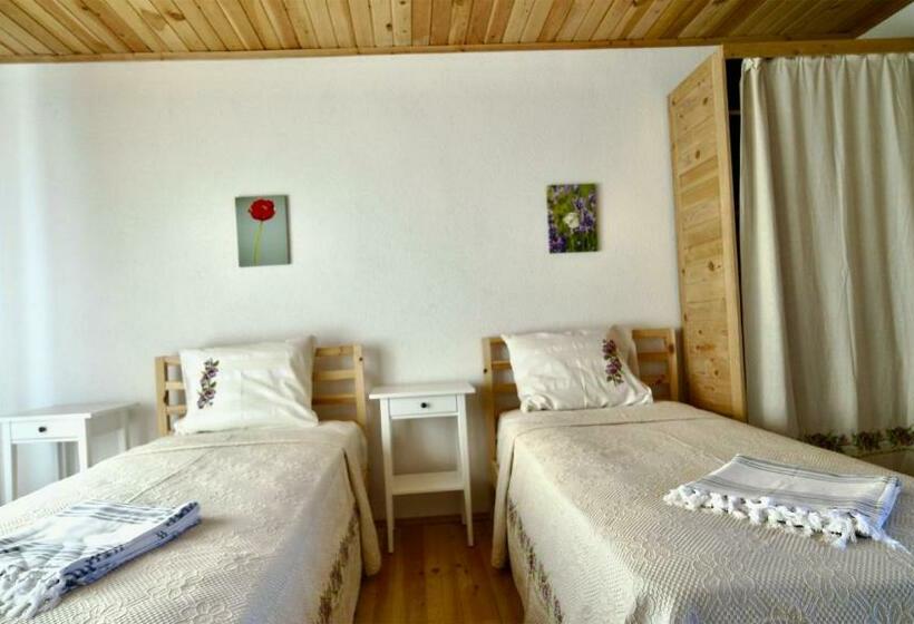 스탠다드 룸, Dedehan Retreat Otel