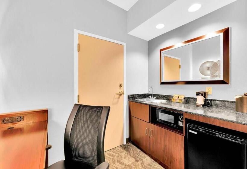 Студио Стандарт Кровать Кинг, Springhill Suites By Marriott Tarrytown Westchester County