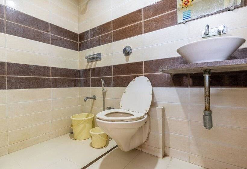 Номер Стандарт, Sanmati