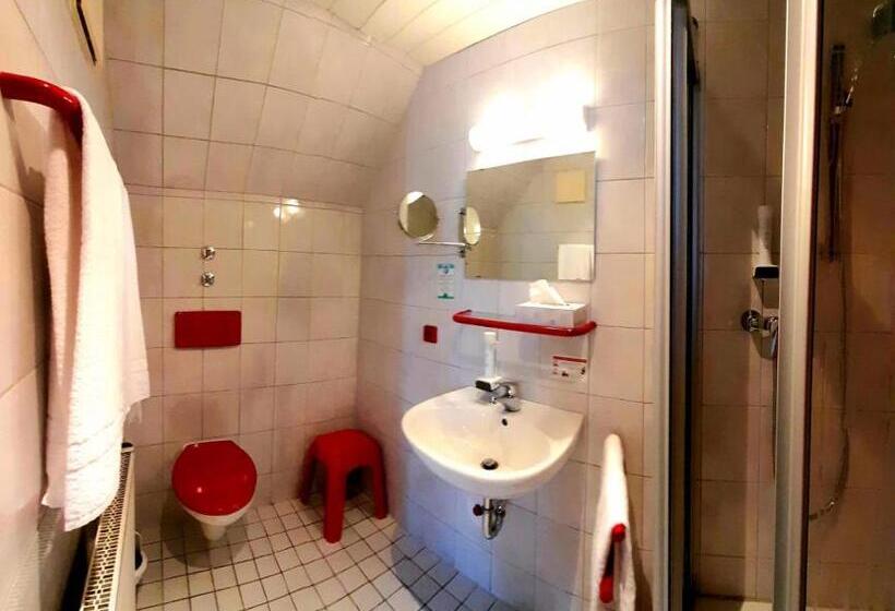 Номер Deluxe, Garni Hotel Maselheimer Hof