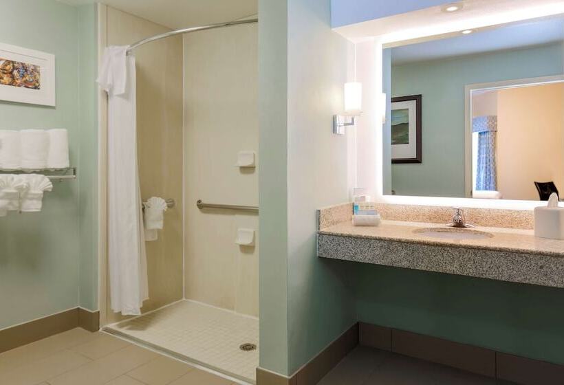 Suite Przystosowany dla Osób Niepełnosprawnych, Homewood Suites By Hilton Nashvilleairport