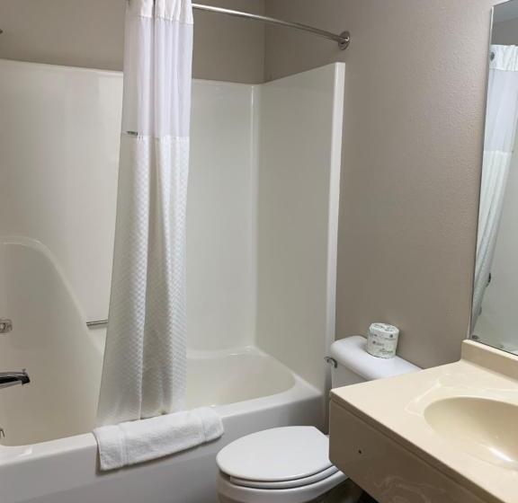 Номер Deluxe Адаптированный для Инвалидов, Microtel Inn & Suites By Wyndham Fond Du Lac