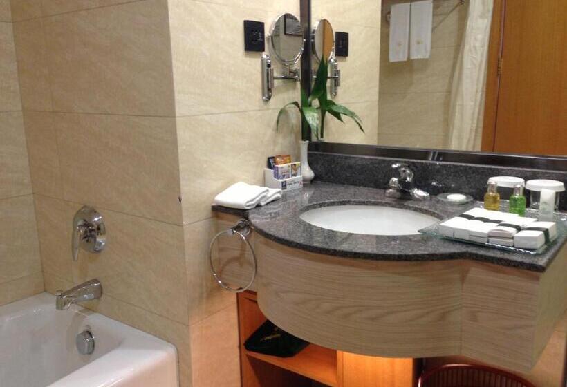 Люкс, Aurum International Hotel Xi An