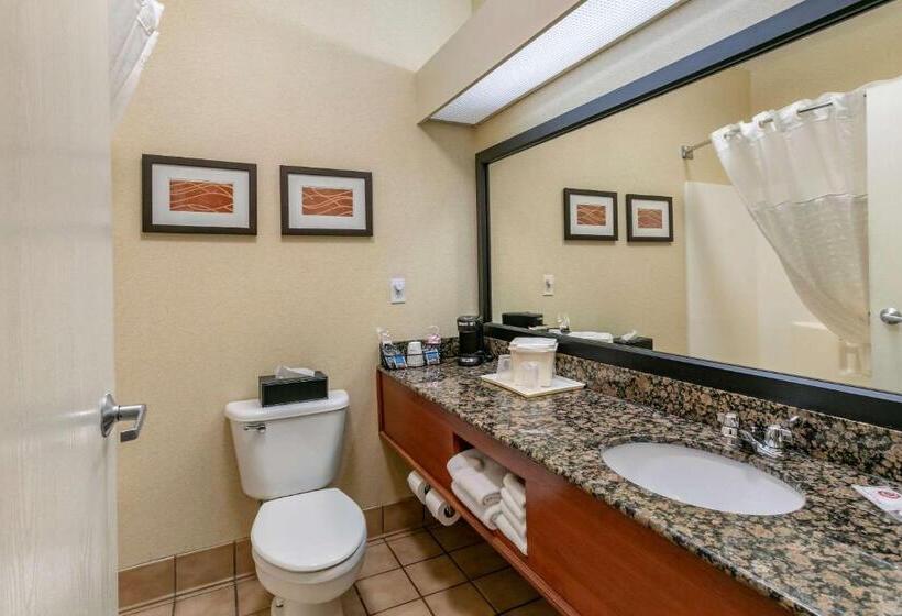 Стандартный Номер Кровать Кинг, Comfort Inn Fort Collins North