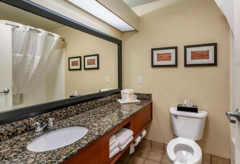 Люкс Кровать Кинг, Comfort Inn Fort Collins North