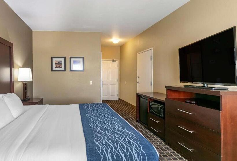 Номер Стандарт Вид на Горы, Comfort Inn Fort Collins North