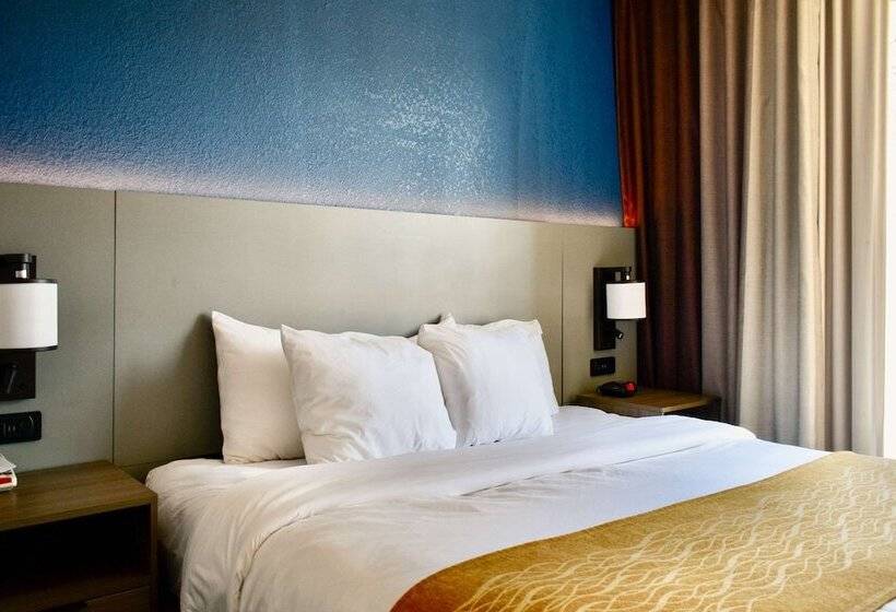 스탠다드 룸 더블 침대 2개, Comfort Inn & Suites Cartersville   Emerson Lake Point