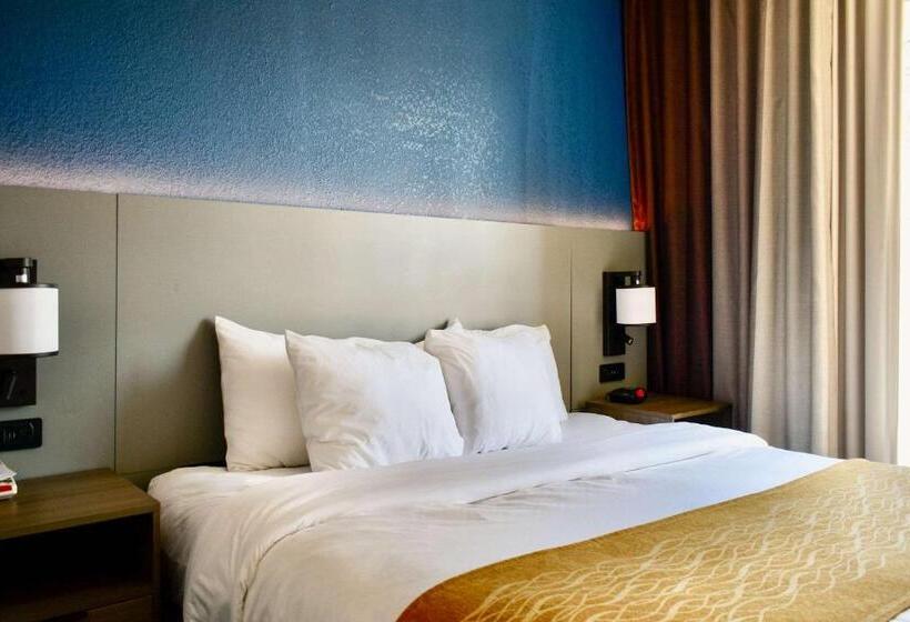 스탠다드 룸 킹사이즈 침대, Comfort Inn & Suites Cartersville   Emerson Lake Point