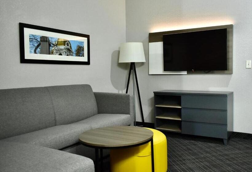 스위트, Comfort Inn & Suites Cartersville   Emerson Lake Point