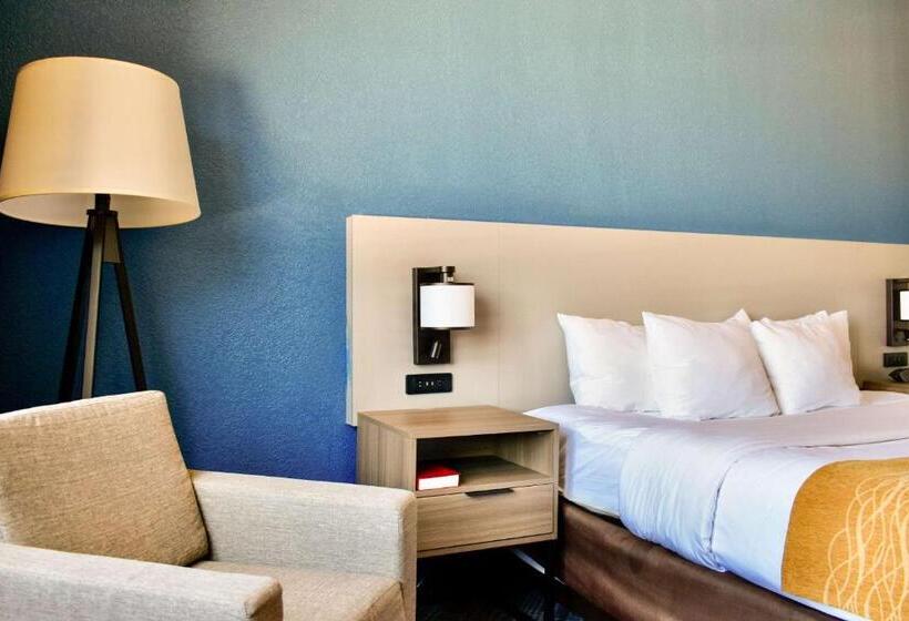 장애인을 위한 킹사이즈 침대 스탠다드 룸, Comfort Inn & Suites Cartersville   Emerson Lake Point