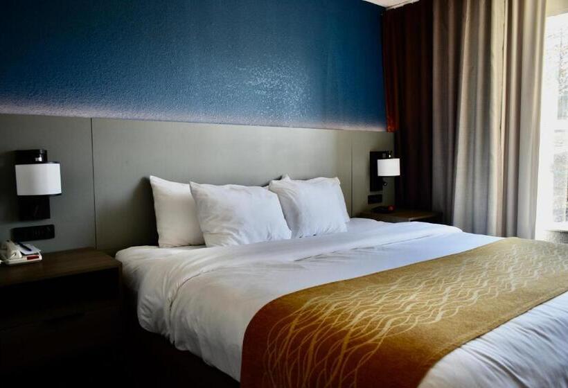 장애인을 위한 스위트, Comfort Inn & Suites Cartersville   Emerson Lake Point