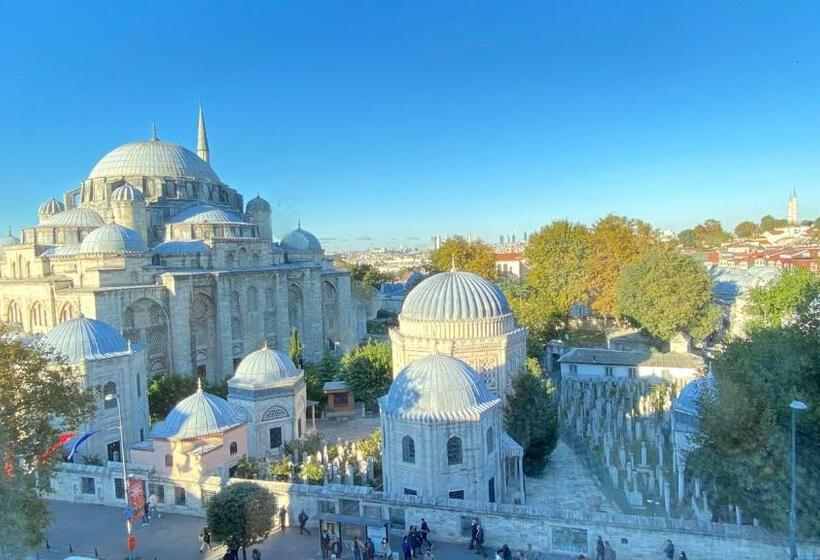 اتاق استاندارد با چشم‌انداز, Grand Hotel Gulsoy Old City
