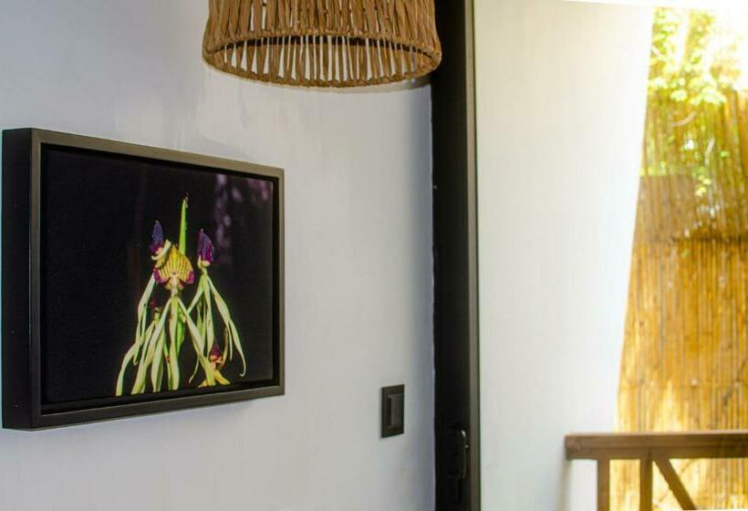غرفة قياسية سرير كينج, Ximena Hotel Boutique