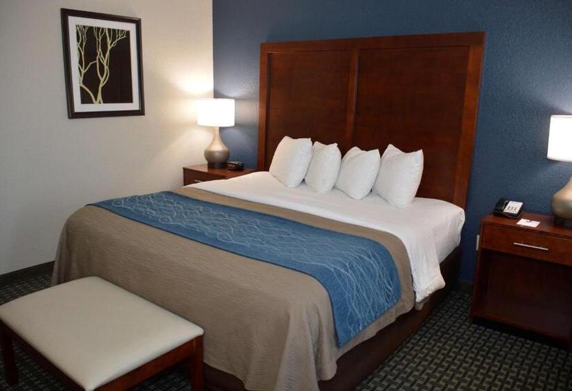 Стандартный Номер Кровать Кинг, Best Western Northwest Corpus Christi Inn & Suites
