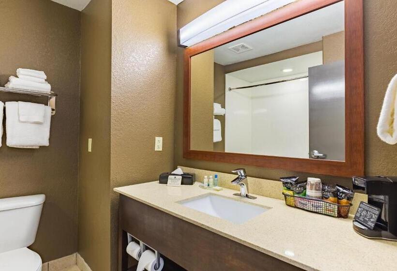 سوئیت با تخت بزرگ, Best Western Northwest Corpus Christi Inn & Suites