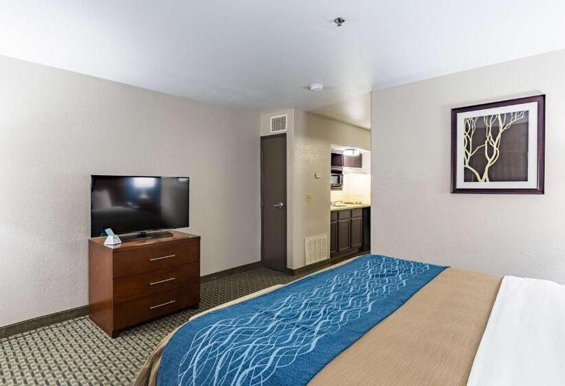 سوئیت با تخت بزرگ, Best Western Northwest Corpus Christi Inn & Suites