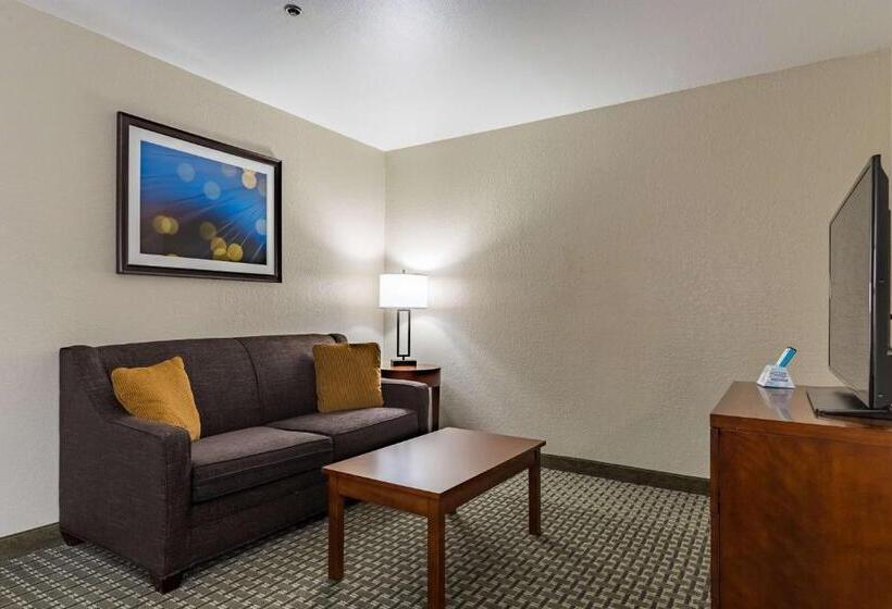 سوئیت با تخت بزرگ, Best Western Northwest Corpus Christi Inn & Suites