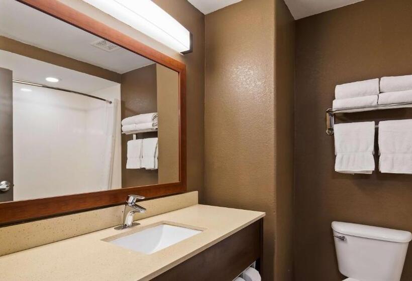 Номер Стандарт Кровать Кинг Адаптированный для Инвалидов, Best Western Northwest Corpus Christi Inn & Suites
