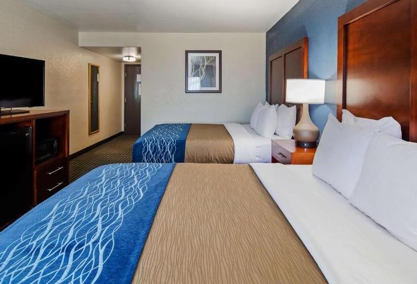 Номер Стандарт Адаптированный для Инвалидов, Best Western Northwest Corpus Christi Inn & Suites