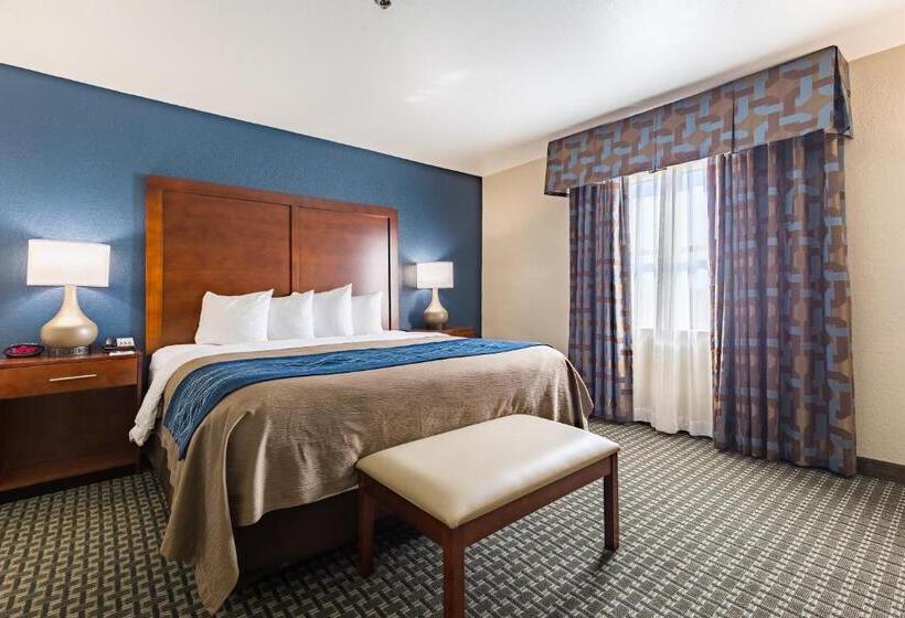 Люкс Адаптированный для Инвалидов, Best Western Northwest Corpus Christi Inn & Suites