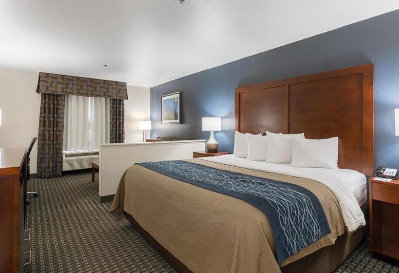 اتاق اجرایی با تخت بزرگ, Best Western Northwest Corpus Christi Inn & Suites