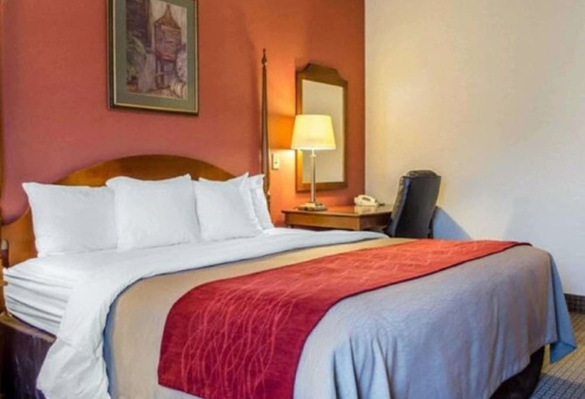 标准间, Comfort Inn & Suites