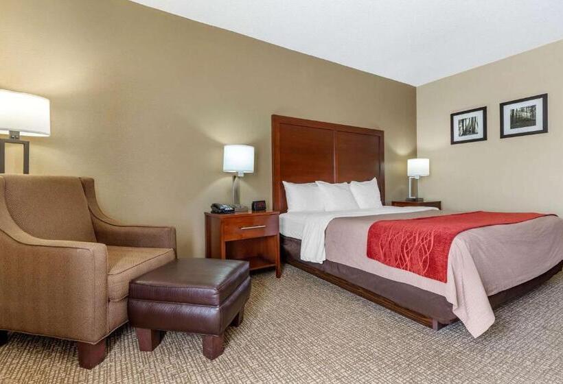 스탠다드 룸 킹사이즈 침대, Comfort Inn Blythewood  North Columbia