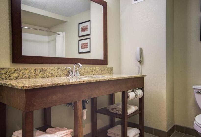 带大床的标准间, Comfort Inn Blythewood  North Columbia