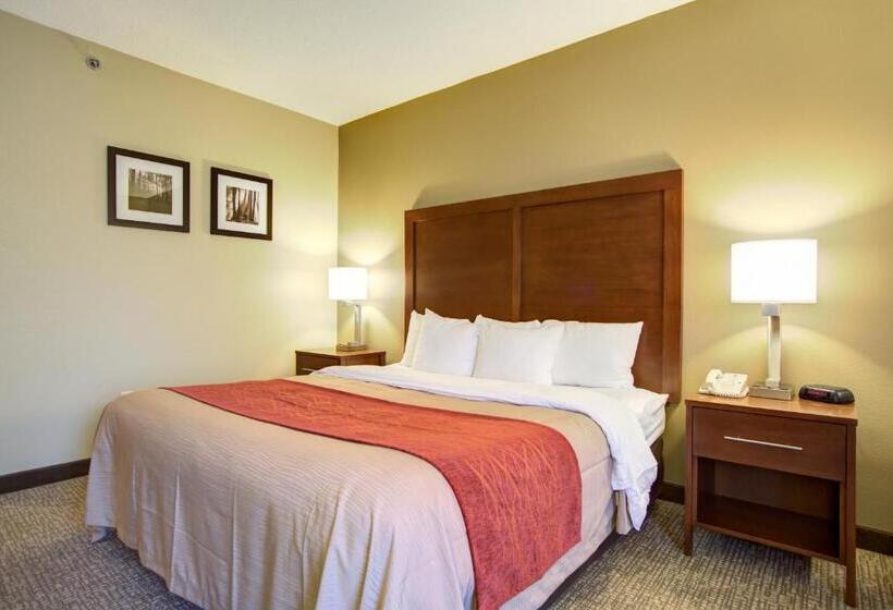 스탠다드 룸 킹사이즈 침대, Comfort Inn Blythewood  North Columbia
