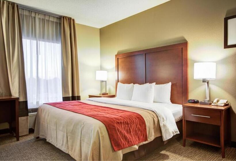 Quarto Estandar Cama King, Comfort Inn Blythewood  North Columbia