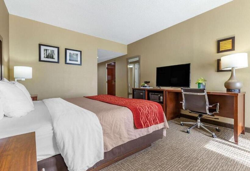 스탠다드 룸 킹사이즈 침대, Comfort Inn Blythewood  North Columbia