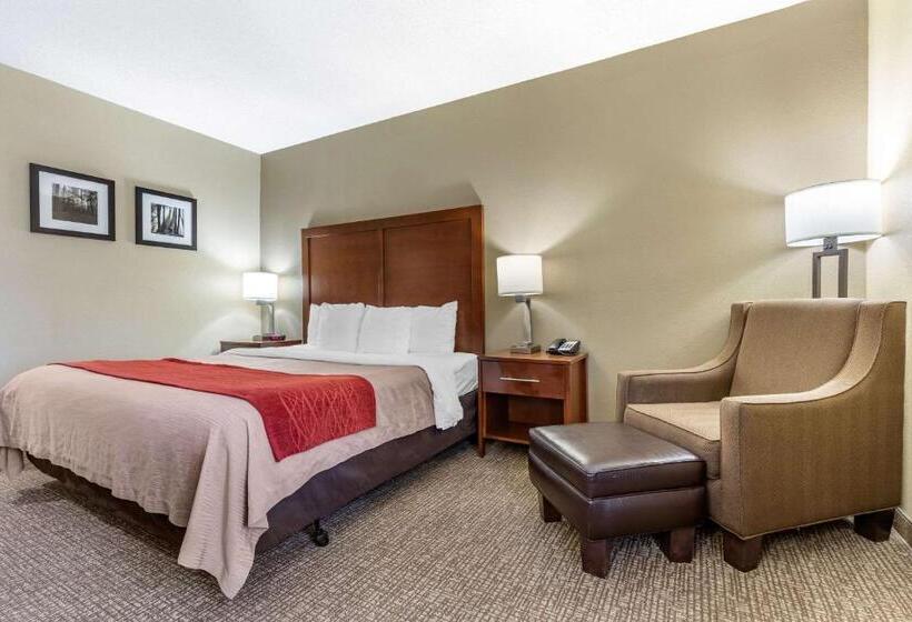 Quarto Estandar Cama King, Comfort Inn Blythewood  North Columbia
